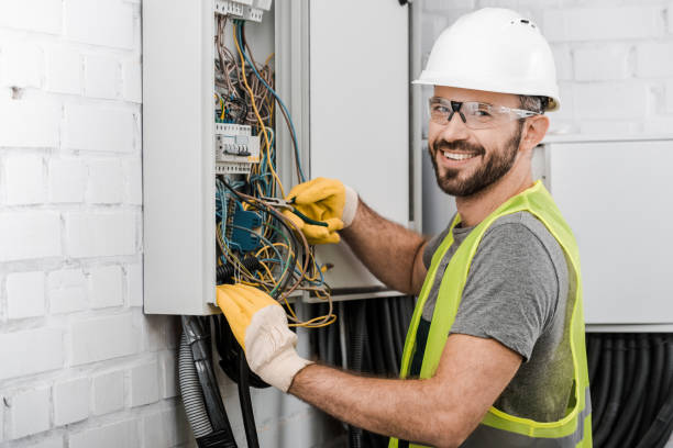 Best Ceiling Fan Installation Electrician  in Oldsmar, FL