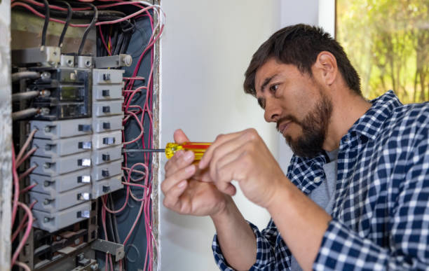Best Affordable Emergency Electrician  in Oldsmar, FL